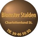 logo for Blomster Stalden
