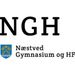 logo for Næstved Gymnasium og HF