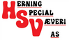 logo for HERNING SPECIAL VÆVERI A/S