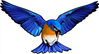 logo for Bluebird ApS