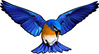 logo for Bluebird ApS
